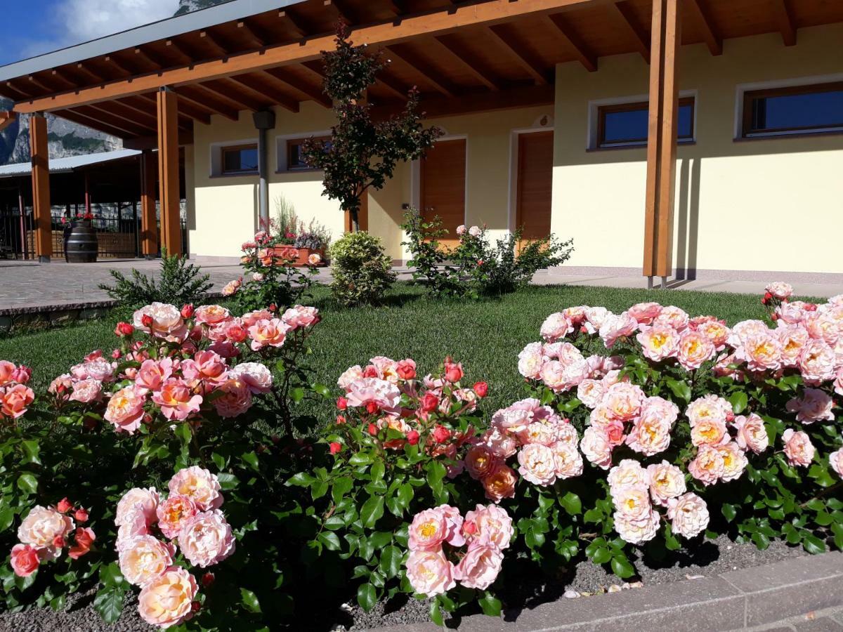 Agriturismo L' Isola Di Arturo Trento Exteriör bild